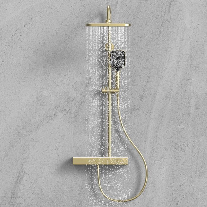 Système de douche à température constante à poignée unique en acier inoxydable | SC845 12