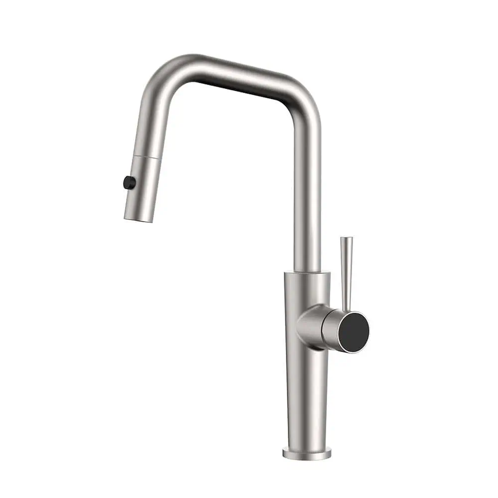 Slanted u-shaped kitchen faucet with 2 modes - K821D