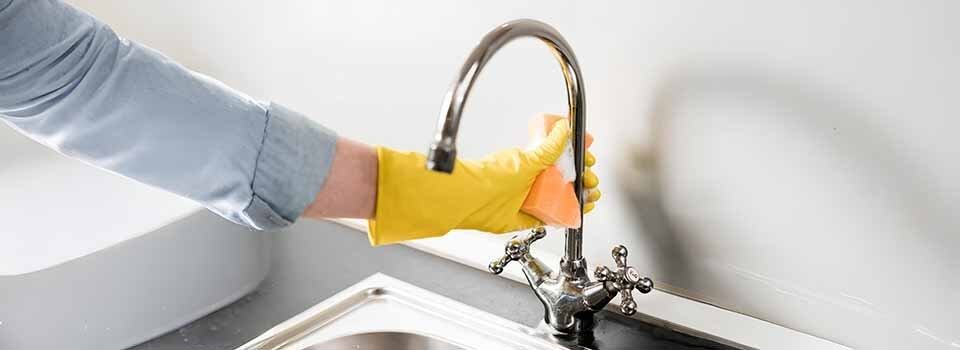 Cleaning stainless steel kitchen faucet with a bit of mild dish soap