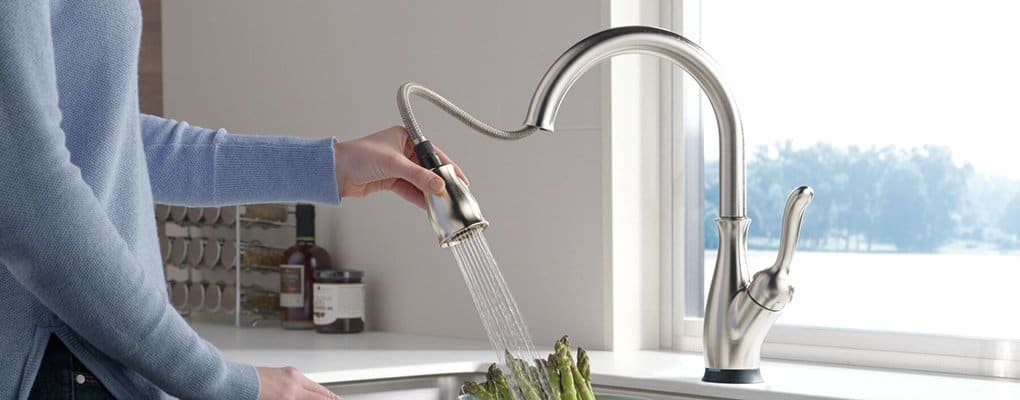 Delta Spotshield Stainless kitchen faucet