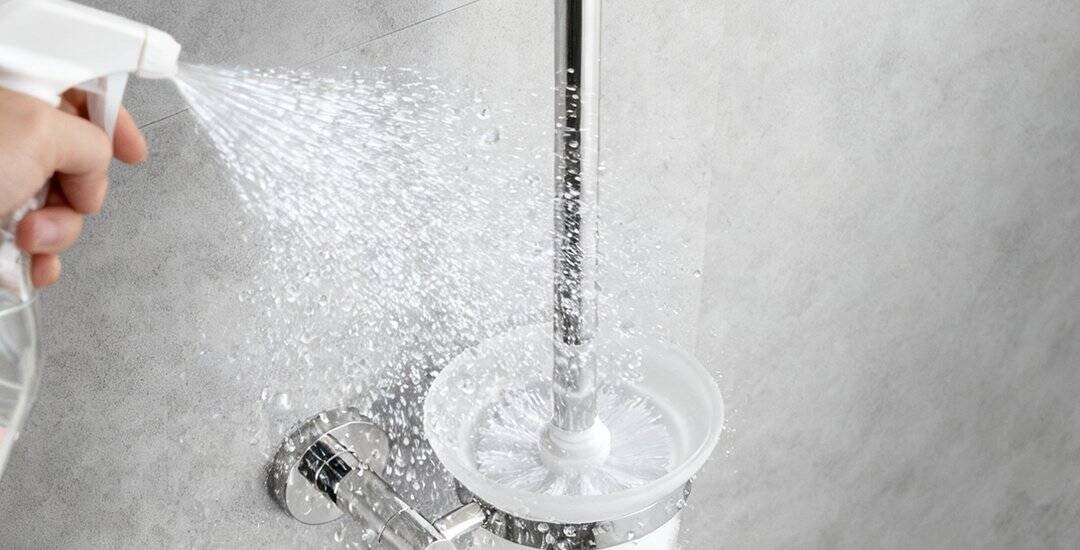 Clean your toilet brush and holder