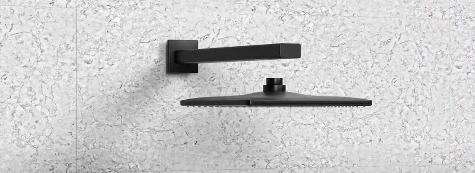 Unscrew the showerhead from shower arm